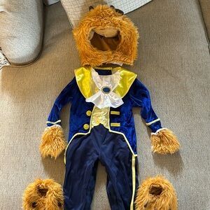 Disney Beauty and the Beast costume